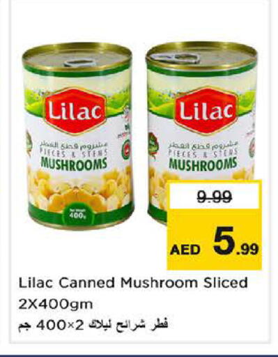 Mushroom available at نستو هايبرماركت in الإمارات العربية المتحدة , الامارات - الشارقة / عجمان