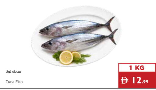 available at إسطنبول سوبرماركت in الإمارات العربية المتحدة , الامارات - ٱلْعَيْن‎