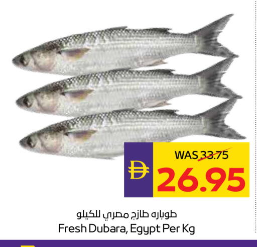 available at أدكووب in الإمارات العربية المتحدة , الامارات - ٱلْعَيْن‎