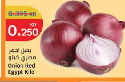 Onion from Egypt available at City Hypermarket in Kuwait - Kuwait City