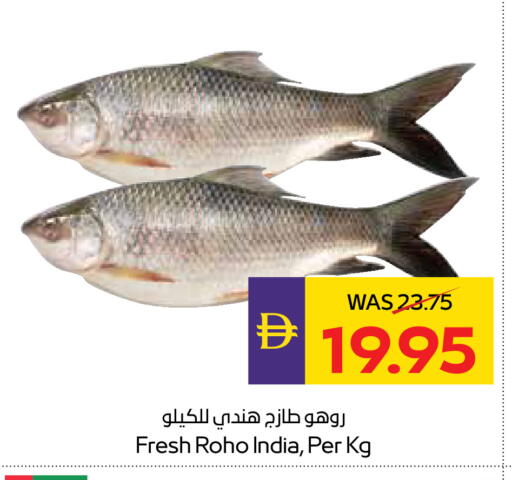 available at أدكووب in الإمارات العربية المتحدة , الامارات - ٱلْعَيْن‎