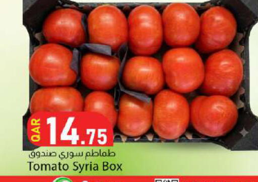 Tomato from Syria available at دانا ماركت in قطر - الدوحة