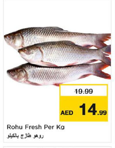 available at نستو هايبرماركت in الإمارات العربية المتحدة , الامارات - ٱلْعَيْن‎