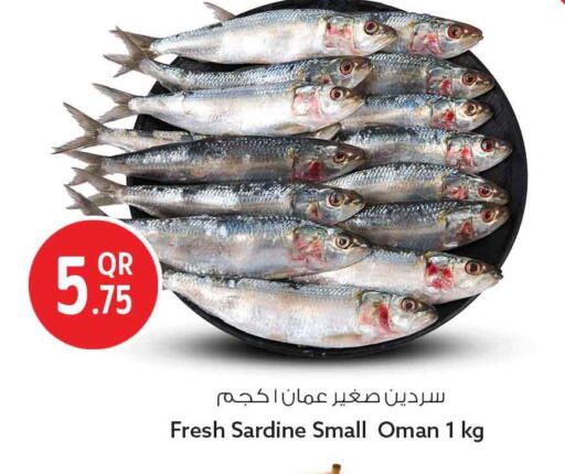 available at سفاري هايبر ماركت in قطر - الشمال