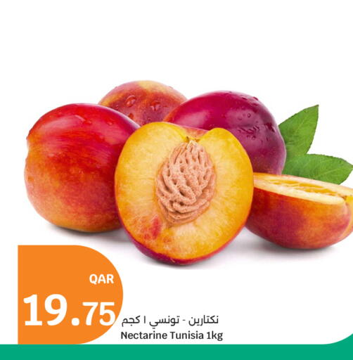 Nectarine from Tunisia available at City Hypermarket in Qatar - Al Rayyan