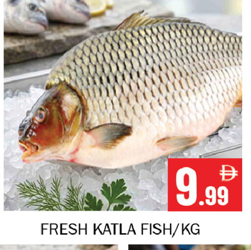 available at سوق المبارك هايبرماركت in الإمارات العربية المتحدة , الامارات - الشارقة / عجمان