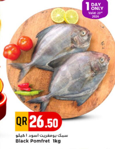 available at مرزا هايبرماركت in قطر - الريان