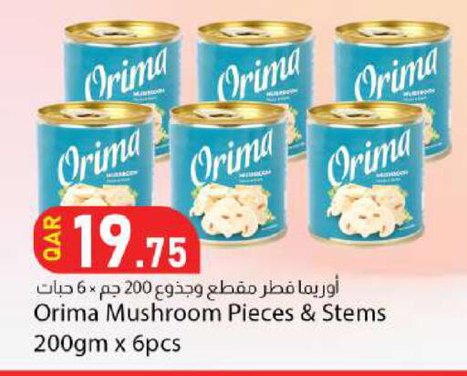 Mushroom available at دانا ماركت in قطر - الدوحة