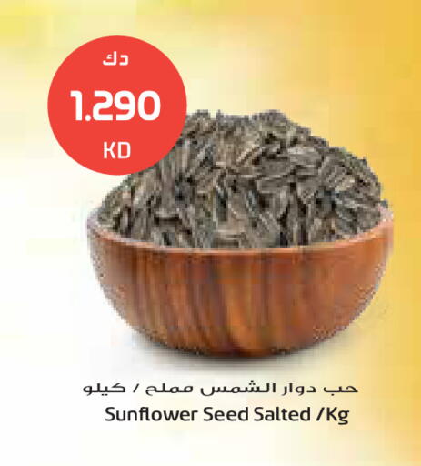 available at جراند كوستو in الكويت - مدينة الكويت