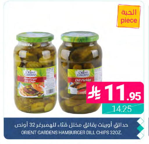 Dill available at Muntazah Markets in KSA, Saudi Arabia, Saudi - Dammam