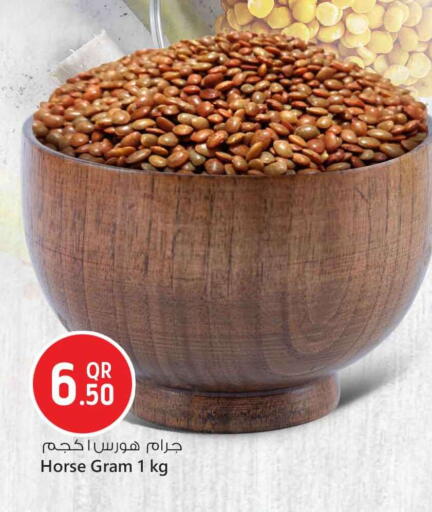 available at سفاري هايبر ماركت in قطر - الريان