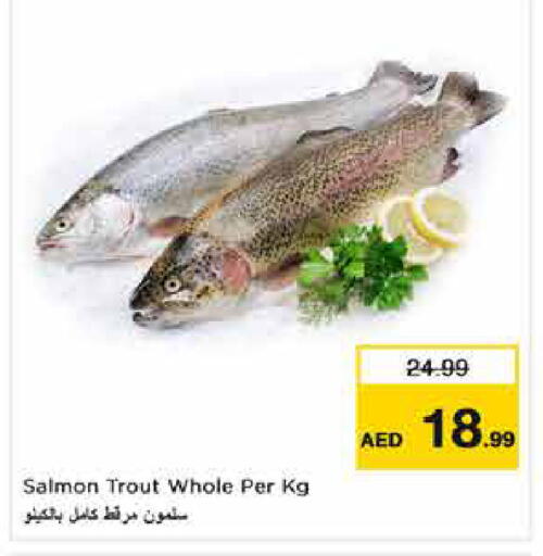 available at نستو هايبرماركت in الإمارات العربية المتحدة , الامارات - الشارقة / عجمان