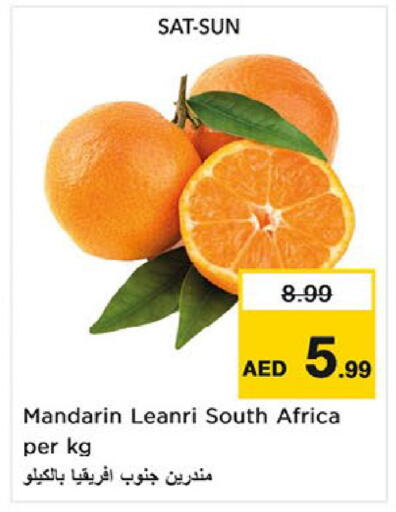 Mandarin from South Africa available at نستو هايبرماركت in الإمارات العربية المتحدة , الامارات - ٱلْعَيْن‎