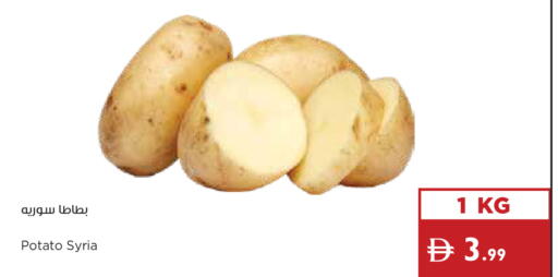 Potato from Syria available at إسطنبول سوبرماركت in الإمارات العربية المتحدة , الامارات - ٱلْعَيْن‎