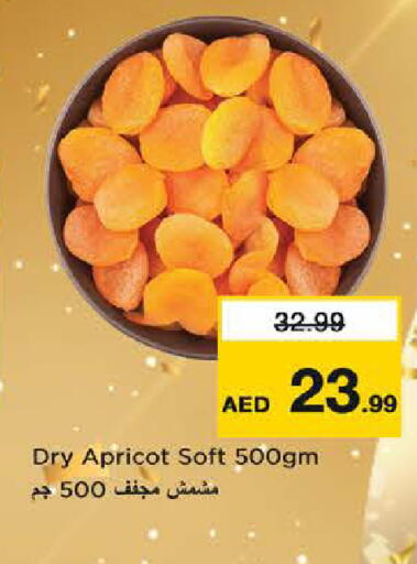 Apricot available at Last Chance  in UAE - Fujairah