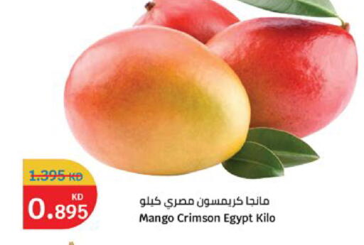 Mango from Egypt available at City Hypermarket in Kuwait - Kuwait City