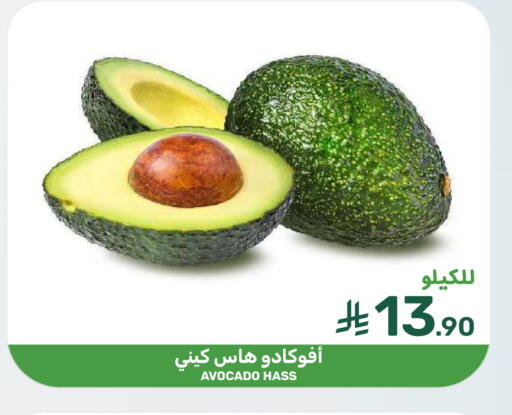 Avocado available at Mazaya in KSA, Saudi Arabia, Saudi - Dammam