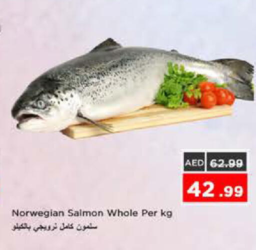 available at نستو هايبرماركت in الإمارات العربية المتحدة , الامارات - الشارقة / عجمان