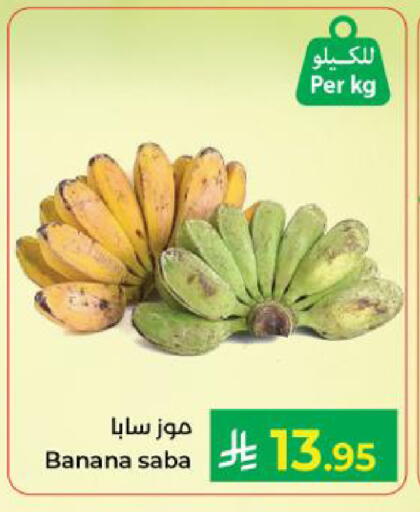 Banana available at كبايان هايبرماركت in مملكة العربية السعودية, السعودية, سعودية - ينبع