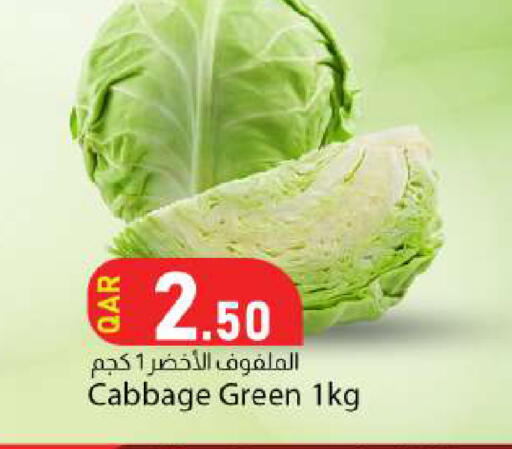 Cabbage available at دانا ماركت in قطر - الدوحة