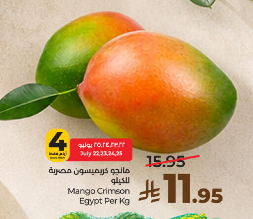 Mango from Egypt available at لولو هايبرماركت in مملكة العربية السعودية, السعودية, سعودية - الخرج