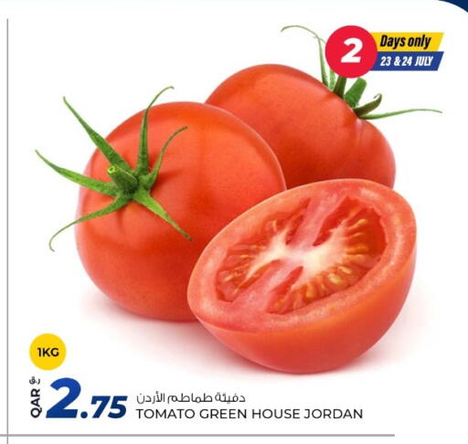 Tomato from Jordan available at روابي هايبرماركت in قطر - الدوحة