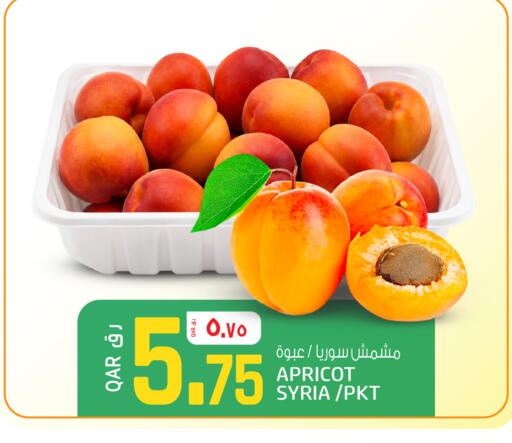 Apricot available at كنز ميني مارت in قطر - الوكرة