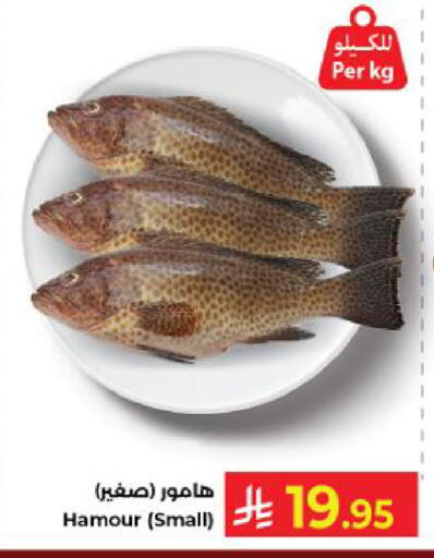 available at كبايان هايبرماركت in مملكة العربية السعودية, السعودية, سعودية - ينبع
