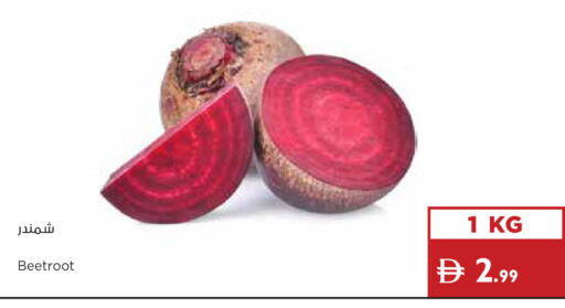 Beetroot available at إسطنبول سوبرماركت in الإمارات العربية المتحدة , الامارات - ٱلْعَيْن‎