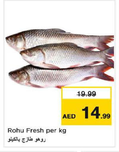 available at نستو هايبرماركت in الإمارات العربية المتحدة , الامارات - الشارقة / عجمان