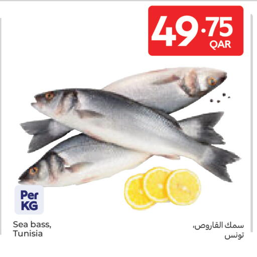 available at Carrefour in Qatar - Al-Shahaniya