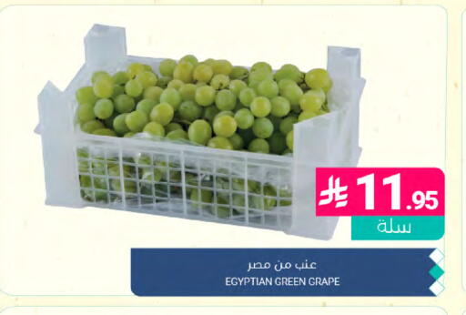 from Egypt available at Muntazah Markets in KSA, Saudi Arabia, Saudi - Dammam