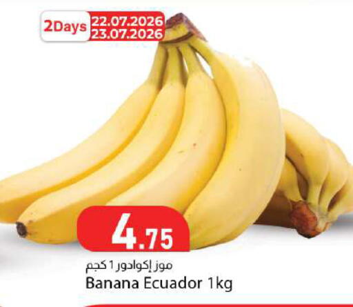 Banana from Ecuador available at Dana Market in Qatar - Doha