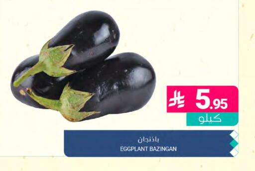 Eggplant available at Muntazah Markets in KSA, Saudi Arabia, Saudi - Dammam