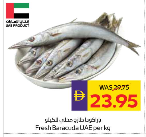 available at أدكووب in الإمارات العربية المتحدة , الامارات - ٱلْعَيْن‎