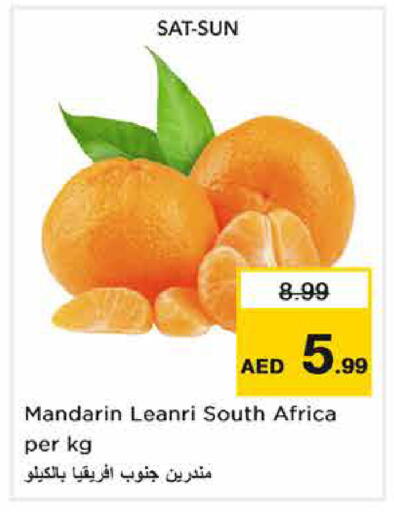 Mandarin from South Africa available at نستو هايبرماركت in الإمارات العربية المتحدة , الامارات - الشارقة / عجمان