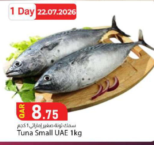 available at دانا ماركت in قطر - الدوحة