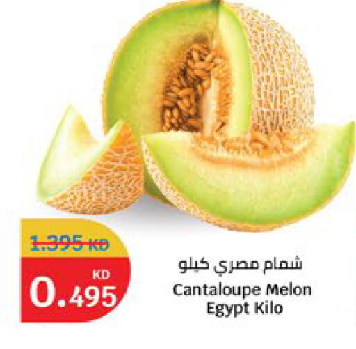 Cantaloupe Melon from Egypt available at City Hypermarket in Kuwait - Kuwait City