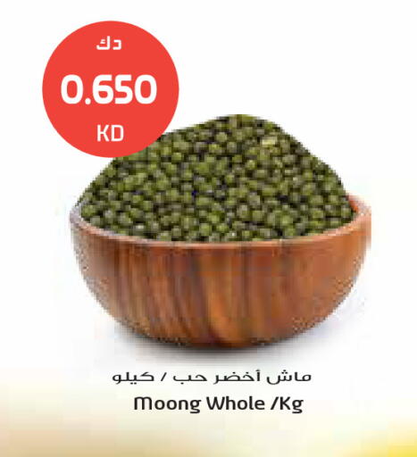 available at Grand Costo in Kuwait - Kuwait City