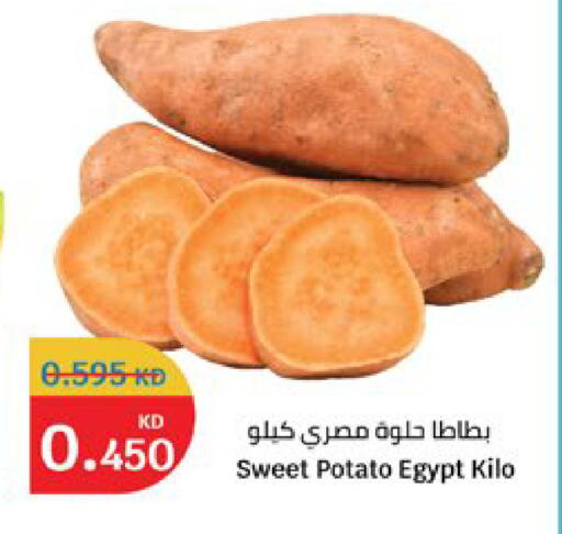 Sweet Potato from Egypt available at City Hypermarket in Kuwait - Kuwait City