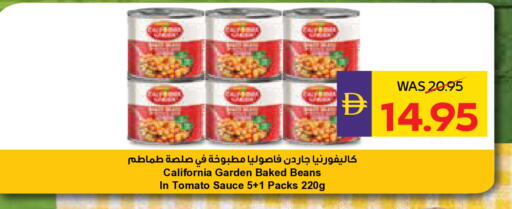 Tomato available at أدكووب in الإمارات العربية المتحدة , الامارات - ٱلْعَيْن‎