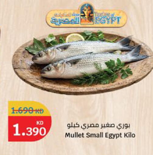 available at City Hypermarket in Kuwait - Kuwait City
