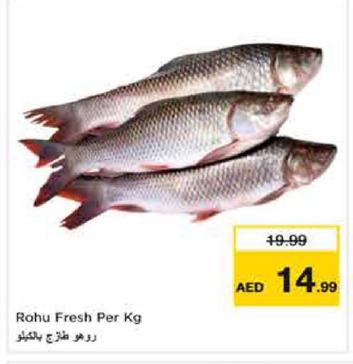 available at نستو هايبرماركت in الإمارات العربية المتحدة , الامارات - الشارقة / عجمان