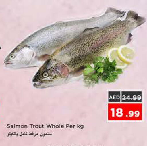 available at نستو هايبرماركت in الإمارات العربية المتحدة , الامارات - الشارقة / عجمان