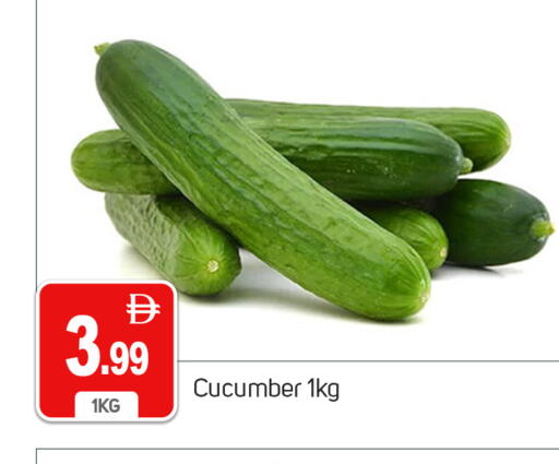Cucumber available at سوق طلال in الإمارات العربية المتحدة , الامارات - دبي