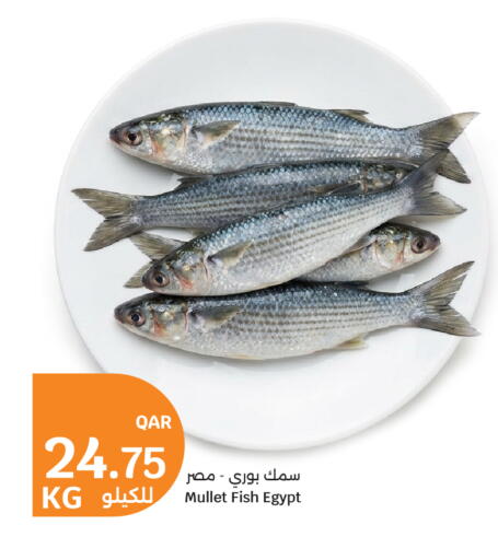 available at City Hypermarket in Qatar - Al-Shahaniya