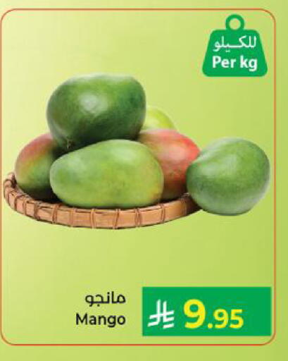 Mango available at كبايان هايبرماركت in مملكة العربية السعودية, السعودية, سعودية - ينبع