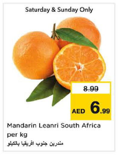 Mandarin from South Africa available at نستو هايبرماركت in الإمارات العربية المتحدة , الامارات - الشارقة / عجمان