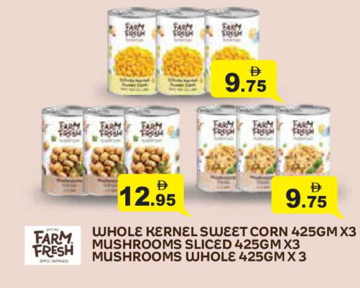 available at أسواق رامز in الإمارات العربية المتحدة , الامارات - أبو ظبي