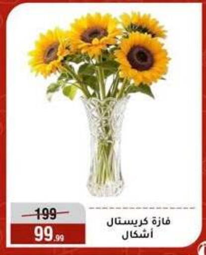 available at Al Morshedy  in Egypt - Cairo